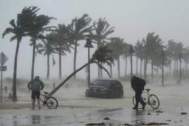 Nước Mỹ choáng váng vì ‘quái vật’ Irma 