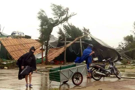 Tan hoang sau bão!