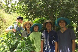Người sở hữu giống cà phê số một châu Á