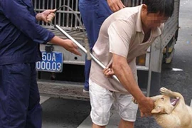 Chuyện dài việc nuôi chó ở thành phố