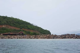 ‘Xẻ thịt’ Hòn Rùa: Phạt 175 triệu đồng