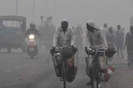 New Delhi đóng cửa tất cả trường học vì ô nhiễm