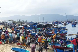 Khánh Hòa gượng dậy sau bão