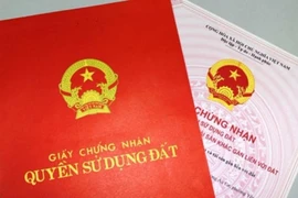 Giấy đỏ ghi tên cả gia đình: Hay và dở