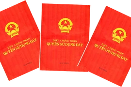 15 tuổi có được quyền đứng tên sổ đỏ? 