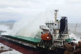 Thương vụ mua bán tàu đắm bất thường