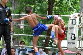 Đông Nam Á đang ‘sốt’ với mưa tiền từ sàn đấu bạo lực