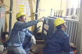 Điện lực TP.HCM đảm bảo điện an toàn dịp Tết 2018