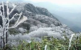 Có thể xảy ra băng giá tại Sơn La, Yên Bái