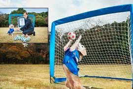 Đầu năm Mậu Tuất kể chuyện… kỷ lục chó