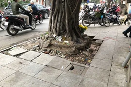 Hàng loạt sai phạm tại các dự án lát vỉa hè Hà Nội