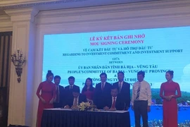 Hơn 4 tỉ USD xây Trung tâm Điện lực Long Sơn​