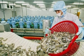 Hàng Việt ra biển lớn: Dở khóc, dở cười
