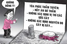 Án bị hủy vì… một gốc me, một gốc cau