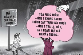 Đòi cả vườn nhưng được trả 420 cây mít
