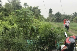 Tách thửa ẩu do chính quyền tiếp tay