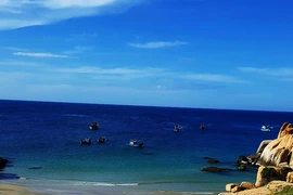 Bộ trưởng TN&MT lại giải cứu Hòn Cau