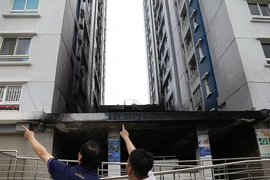 Tuần sau, bắt đầu sửa chung cư Carina