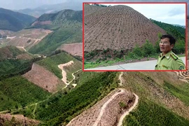 Rừng phòng hộ bị ‘cạo trọc’