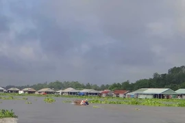 Ngập lụt đe dọa đồng bằng sông Cửu Long