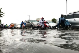Đường đẹp nhất TP.HCM ngập do đâu?
