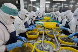 Tôm, cá Việt rộng đường sang Mỹ