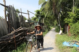 Ai sẽ là chủ đầu tư dự án Thanh Đa?