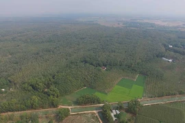 Sagri có vi phạm gì đối với 1.900 ha đất?