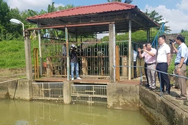 Miền Trung: Cơn hạn hán lịch sử đang tái diễn