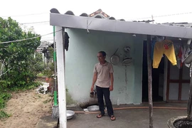 Rắc rối vụ án nghi mất cây mai cảnh