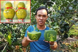 Độc đáo trái cây Tết tạo hình bằng công nghệ mới