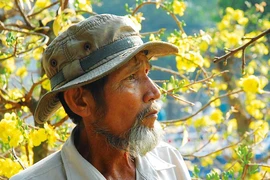 Thương người đem mùa xuân về