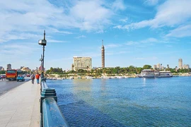Đón xuân trên dòng Nile huyền thoại