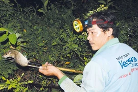 Chuyện lạ miền Tây