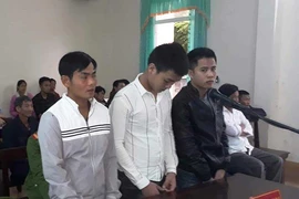 Trộm 70 con gà, 1 con bò, 3 thanh niên lãnh 50 tháng tù