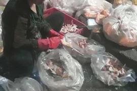 Ớn lạnh gà bán trong trung tâm giết mổ gia cầm