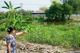 Củ Chi: Dân khiếp hãi vì mùi hôi ở kênh Thầy Cai
