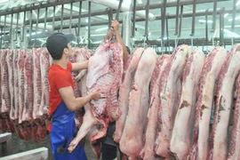 Giá thịt heo tăng sốc, khan hiếm