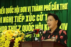 Cử tri Cần Thơ mong người Việt làm cao tốc Bắc-Nam