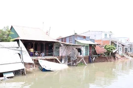 Sạt lở, xâm nhập mặn bủa vây ĐBSCL