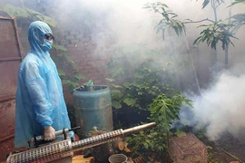 Lo ngại bùng phát dịch sốt xuất huyết diện rộng