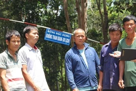 Vụ cưa gỗ khô: Không thể tùy tiện trong áp dụng pháp luật