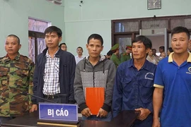 Vì sao chưa thể tuyên án vụ cưa gỗ khô?