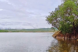 Sống trong sợ hãi vì sa tặc lộng hành ở Quảng Bình