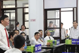 Cơ quan thuế nói gì tại phiên tòa xử Ls Trần Vũ Hải?