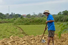 Huế hạn hán bất thường giữa mùa mưa