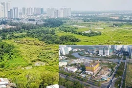 TP.HCM: 2 cựu lãnh đạo Công ty Tân Thuận bị bắt