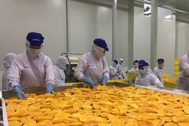 Bộ trưởng Công Thương: ‘Xuất khẩu 300 tỉ USD là thách thức’