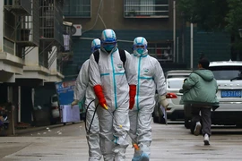 Tranh cãi về đường lây truyền virus Corona