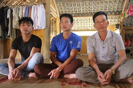 Đề nghị Ủy ban Tư pháp giám sát kỳ án giết người Tuyên Quang